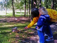 FeedingSquirrels